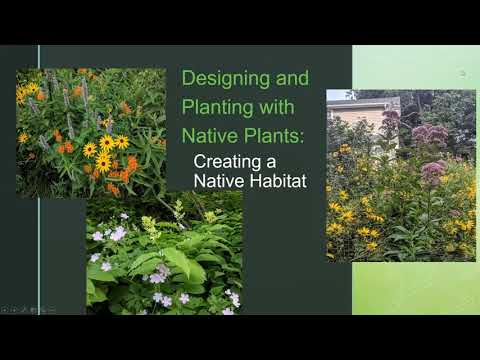 Designing and Planting with Native Plants: Creating a Native Plant Garden