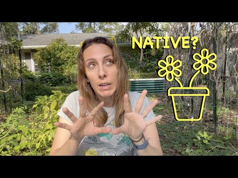 10+ Native Plants You Can Easily Grow in Pots