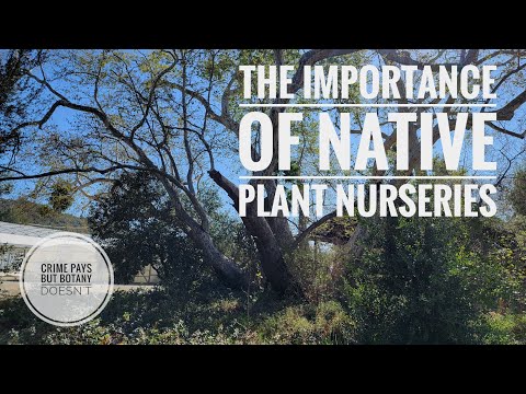 Native Plant Nursery