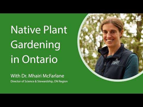 Native Plant Gardening in Ontario