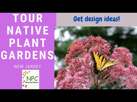 Garden Tour: Native Plant Society, New Jersey