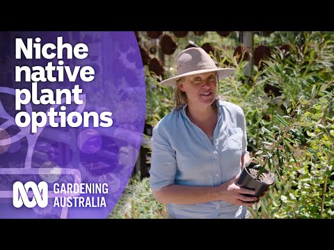 Native plants to grow in every environmental niche | Australian native plants | Gardening Australia