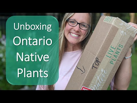 Unboxing Ontario Native Plants Order | Live Plant Shipment