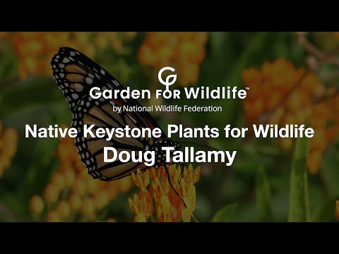 Native Keystone Plants for Wildlife – Doug Tallamy