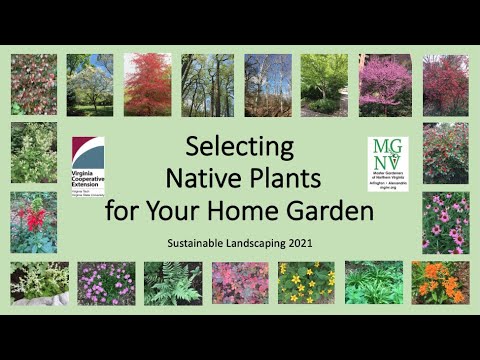 Selecting Native Plants for Your Home Garden