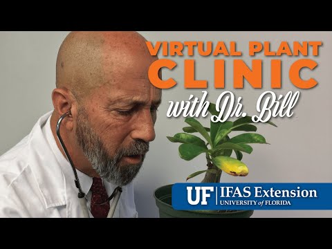 The Virtual Plant Clinic With Dr. Bill August 3, 2023