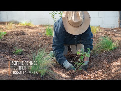 2023 Native Plant Garden Tour: How to Replace Your Lawn
