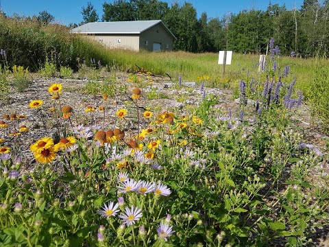 Smith Blackburn Hamlet Pollinator Garden – Episode 11 in SOUL's Ecological Land Care Webinar Series