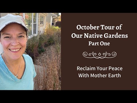 Ep. 50: October Tour of Our Native Gardens, Part 1 🍁
