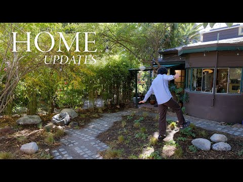 Home Updates | Garden transformation, native plants & landscape