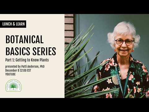 Botanical Basics Series, Part 1: Getting to Know Plants with Patti Anderson, PhD