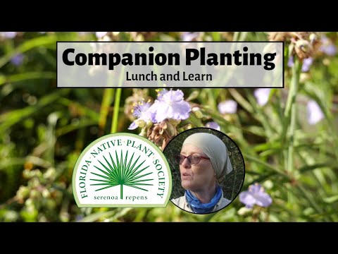 Companion Planting with Native Plants