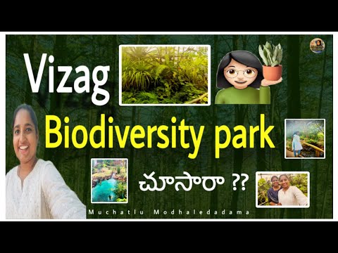 Vizag Biodiversity Park || Muchatlu Modhaledadama || Dubai Usha || Telugu vlogs || Vizag Tourism