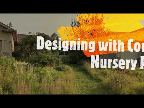 Designing With Common Nursery Native Plants