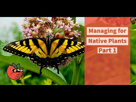 Managing for Native Plants Part 1