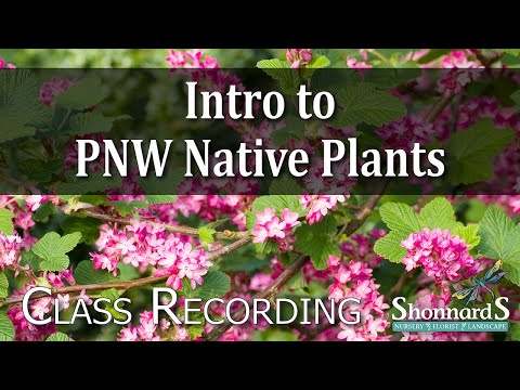 Intro to Native Plants – Class Recording