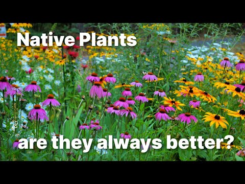 Native Plants chat, Potting a Rose and Seed Starting