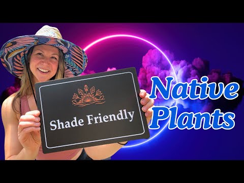 🌿🌼 Top 5 Shade-Loving Native Plants for Morning Shade | Native Garden Guide 🌼🌿