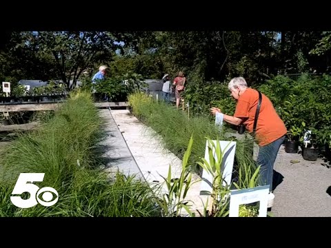 Bentonville gardens hosting native plant and tree sale