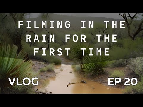 We finally caught the rain on our DESERT land to restore a native forest! Vlog Ep 20