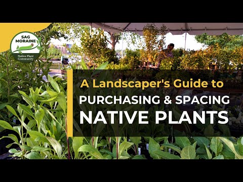 A Landscaper's Guide to Purchasing and Spacing Native Plants