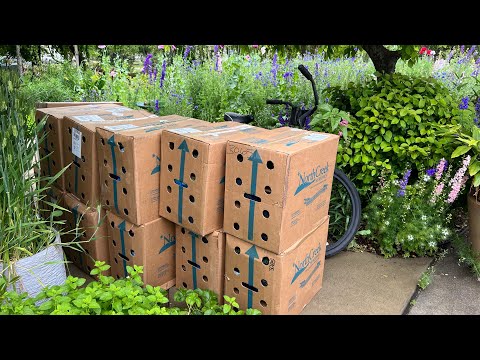 Native Plant Delivery
