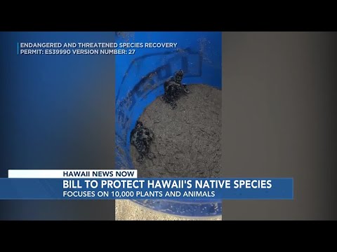 Hawaii senators introduce bill to protect native plants, species