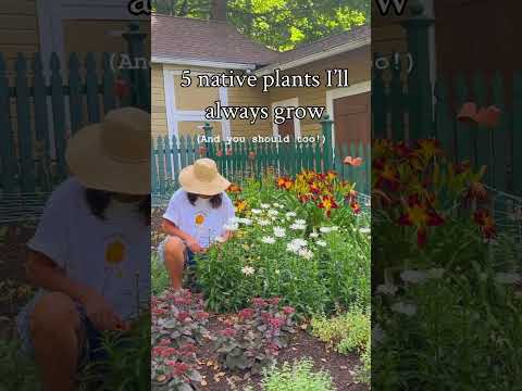 5 native plants I’ll always grow (and you should too!) 🌸