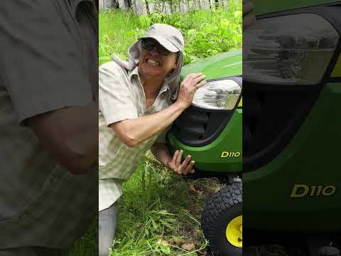 No-Mow May… in JUNE & Beyond! #nomowmay #nativeplants #foraging