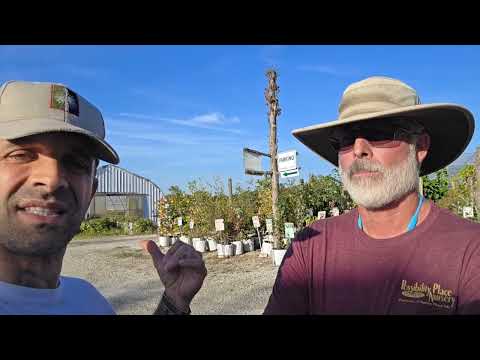 Possibility Place Nursery – Native Plants for Chicago
