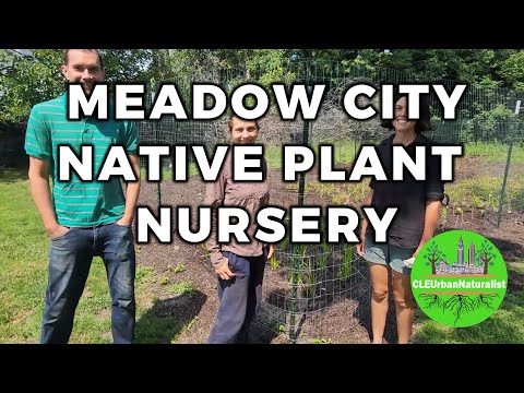 Meadow City Native Plant Nursery
