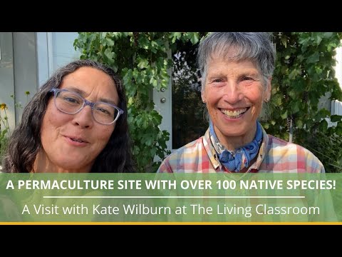 A Permaculture Site with over 100 Native Plants!
