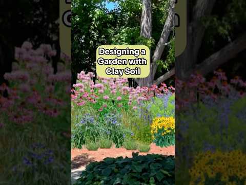 Native plants thrive in clay soil! 🌸 #clay #gardendesign #nativeplants