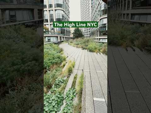 Looking at native plants on the High Line in NYC! #conservation #thehighline #nyc #nativeplants