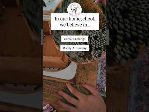 Progressive 🤝 Homeschool
