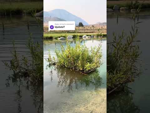 Woven floating wetland update