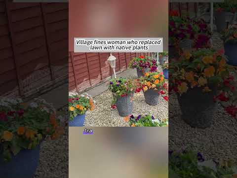 Village fines woman who replaced lawn with native plants