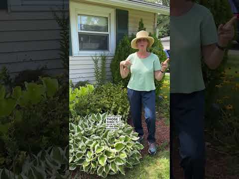 Are All Native Plants Desirable? I Don't Think So!